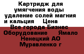 Картридж для умягчения воды, удаление солей магния и кальция. › Цена ­ 1 200 - Все города Бизнес » Оборудование   . Ямало-Ненецкий АО,Муравленко г.